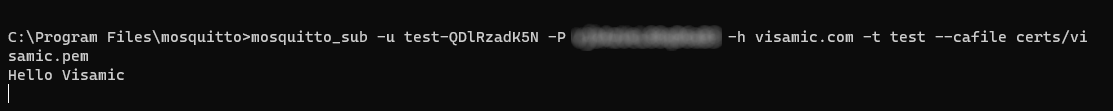 Mosquitto subscribe output